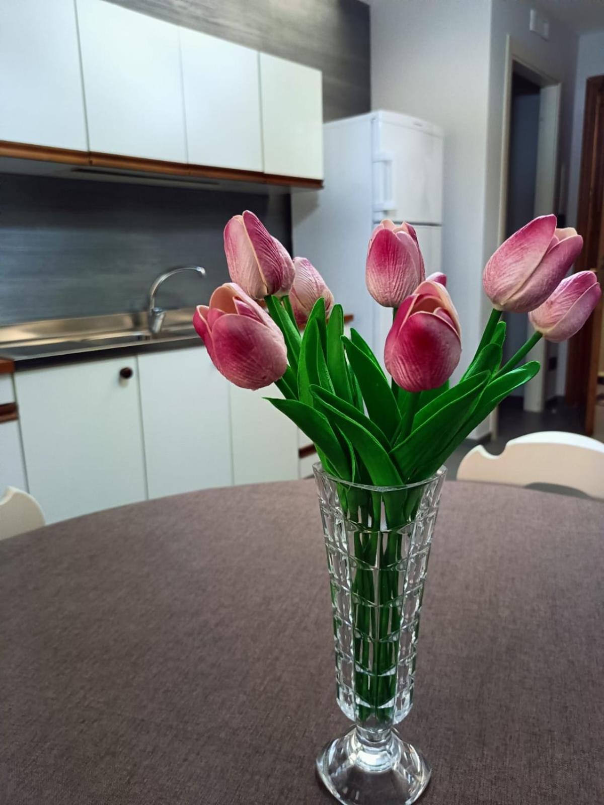 Casa Didyma Apartment San Giovanni Gemini Екстериор снимка